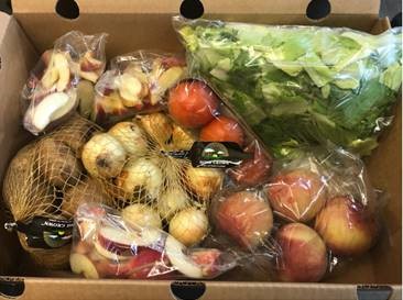 USDA Farms to Families Food Box Distribution 