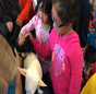 Students Learn by Helping Animals